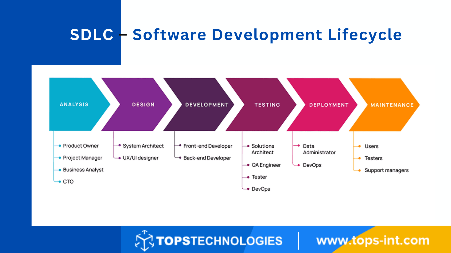 Live Project Training in the Software Development Lifecycle - Insights from a Software Testing