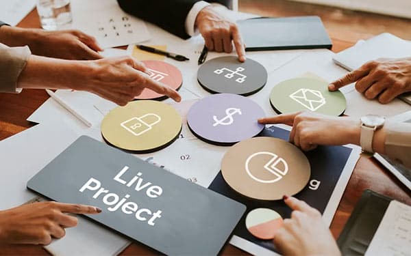 Live Project And Its Importance